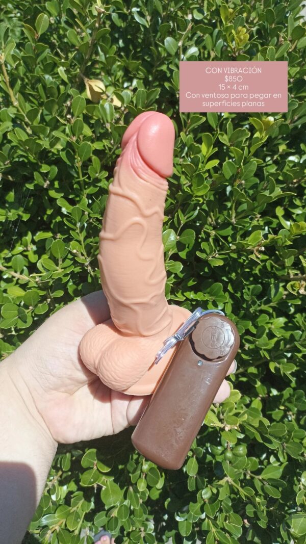 CON VENTOSA Y VIBRACIÓN 15 CM