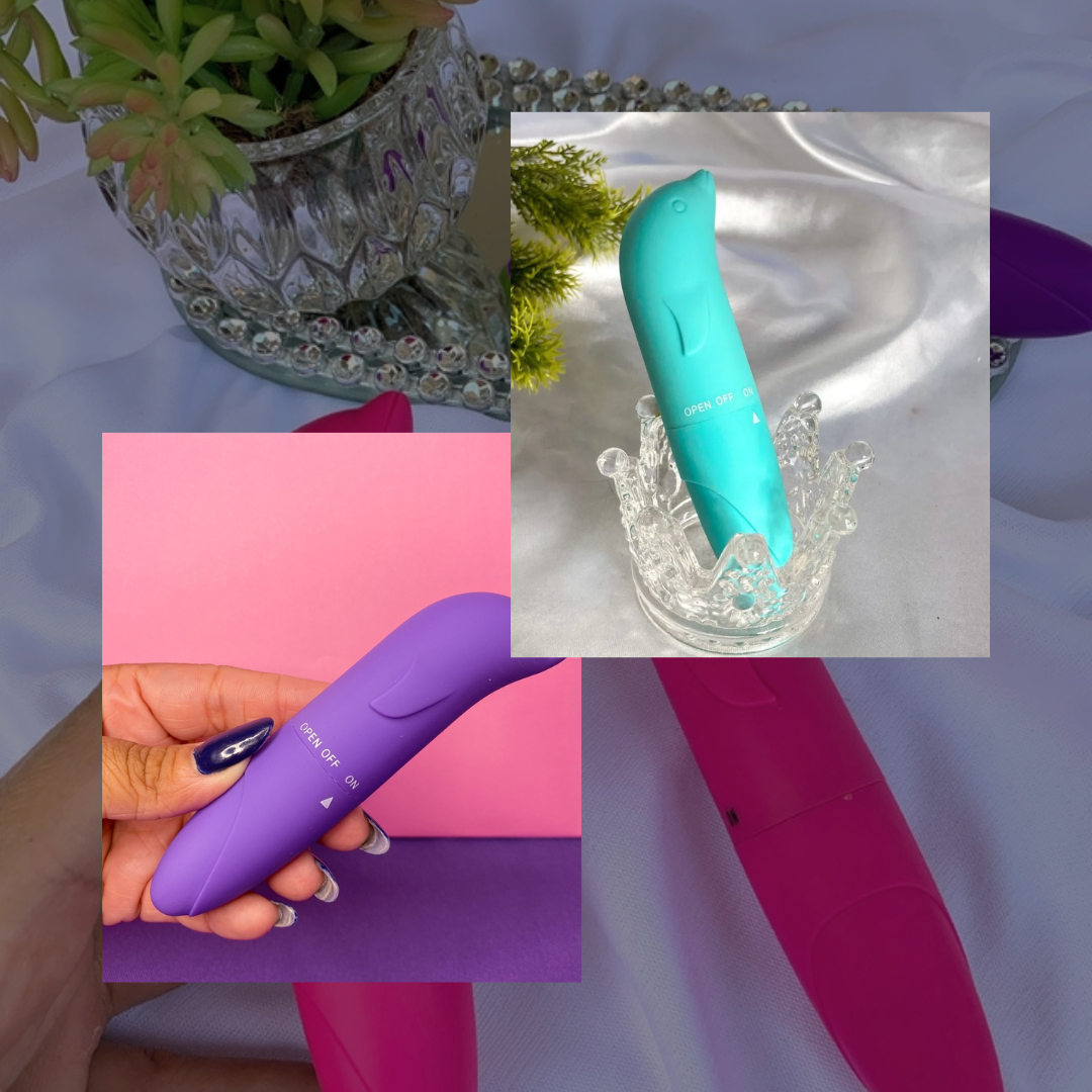DELFÍN COLORES VARIADOS