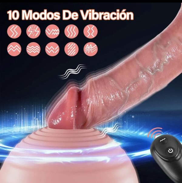 Extensor peneano - Imagen 3