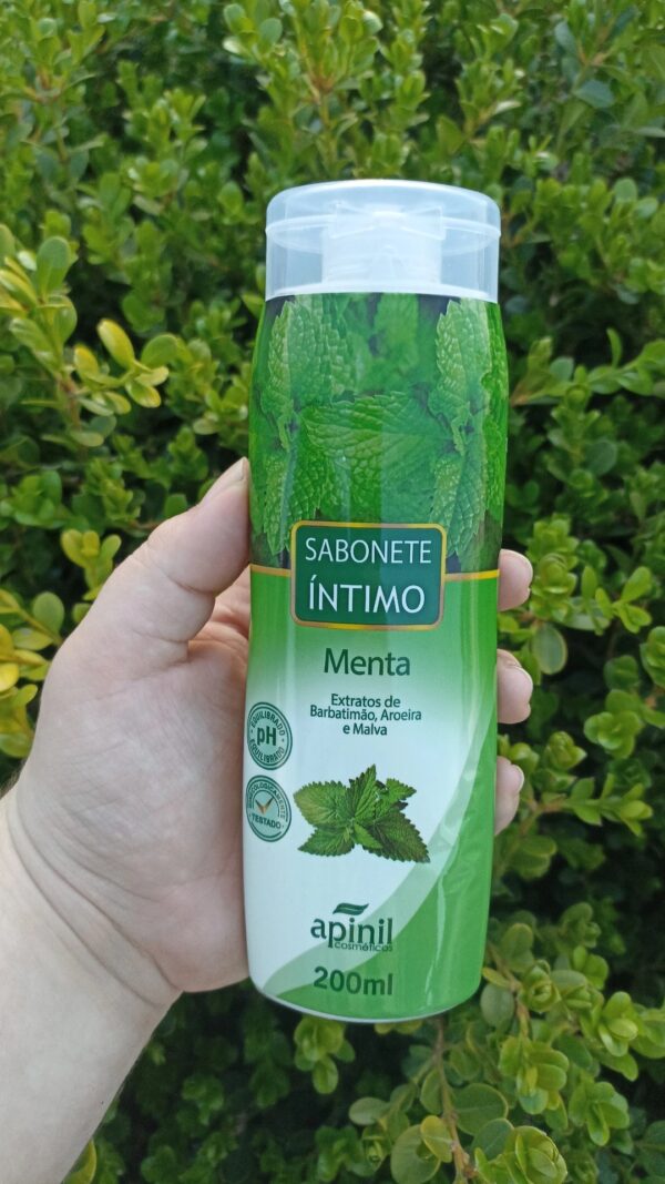 Menta